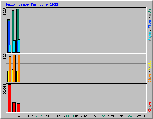 Daily usage for June 2025