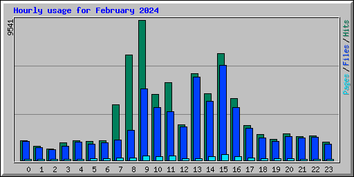 Hourly usage for February 2024