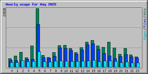 Hourly usage for May 2025