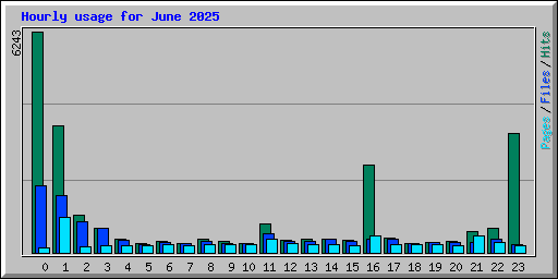 Hourly usage for June 2025
