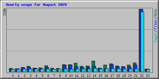 Hourly usage for August 2025