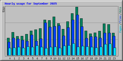 Hourly usage for September 2025